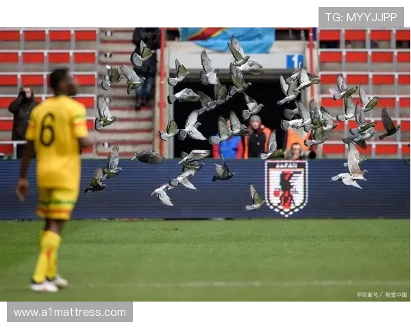 马里进攻数据 马里进攻数据