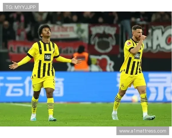 维尔茨小范围配合与直塞能力解析