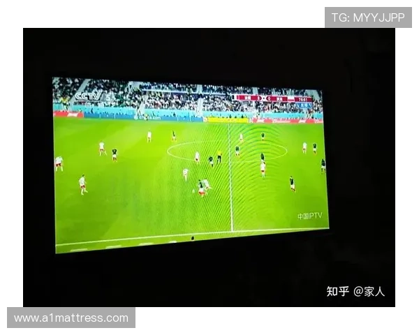 塞内加尔世界杯历史最佳战绩回顾